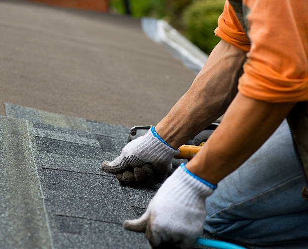 Best Flat Roof Repair Services  in Elkhorn, WI